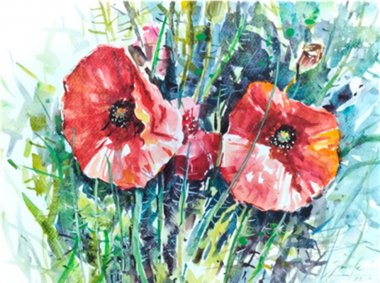 Jubileusz 800-lecia Pieśni Słonecznej świętego Franciszka z Asyżu