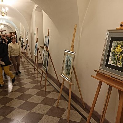 Kwiaty Monte Subasio grafika