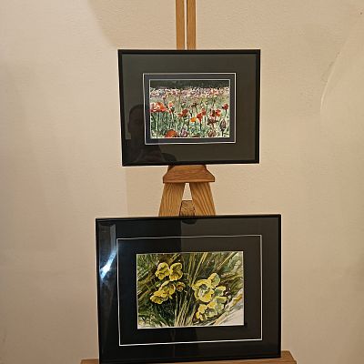 Kwiaty Monte Subasio grafika