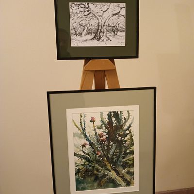 Kwiaty Monte Subasio grafika