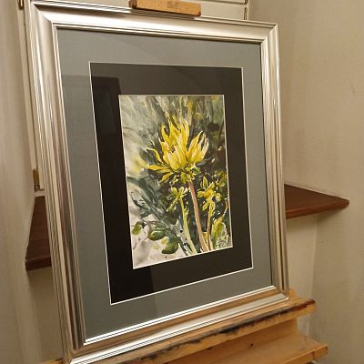 Kwiaty Monte Subasio grafika